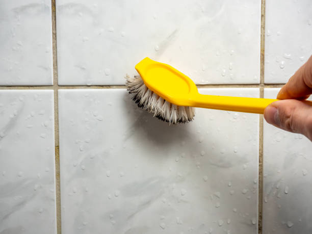 Best Mold Testing  in Mount Cob, PA